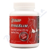 Nutricius Syneslim 120 tablet