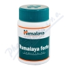 Rumalaya Forte tablets 60