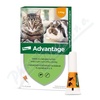 Advantage 40mg malé kočky+králíci spot-on 1x0.4ml