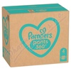 Pampers Pants vel. 4 (176 ks)