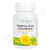 Dr.Popov Pampeliška bylina+extrakt 60cps