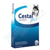 Cestal Plus 50mg/144mg/200mg pro psy tbl.8