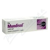 Mundisal orm 87,1MG/G orm gel 1X8G