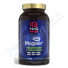 IQ Mag Organic Magnesium L-threonate tob.90