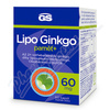 GS Lipo Ginkgo pamet+ 60mg cps.60