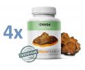 MycoMedica Chaga 4 x 90 kapslí