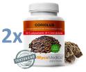 Mycomedica Coriolus 50 % 2 x 90 kapslí
