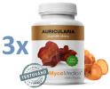 Mycomedica Auricularia 3 x 90 kapslí