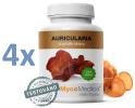Mycomedica Auricularia 4 x 90 kapslí