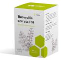 Boswellia serrata PM 90 kapslí