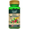 VitaHarmony Giga Brusinky 7.700 mg 150 tablet